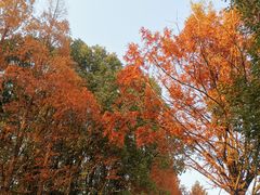 -良渚古城遗址公园