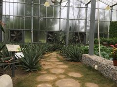 -上海多利农业发展有限公司