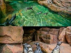 -长鹿旅游休博园