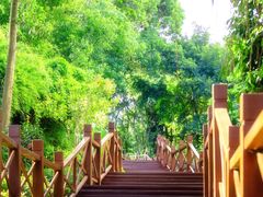 -深圳国际园林花卉博览园