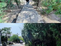-南翠屏公园