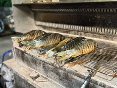 -杨合林啊兰烤鱼