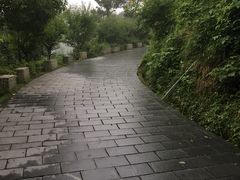 -峙山公园