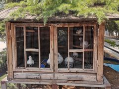 -宠车虎•京安机动车检测场