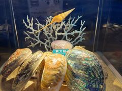 -梦幻海洋王国(吾悦广场张家港店)