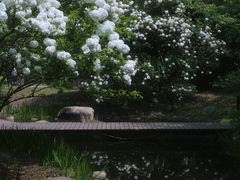 -共青国家森林公园-售票处