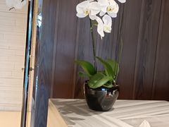 -上海宝华万豪酒店