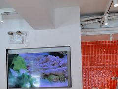 -红荔村肠粉(贝丽店)