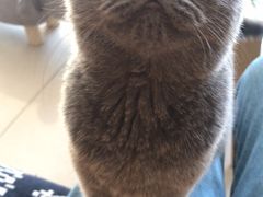-平行世界·猫咖(首经贸店)