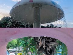 -重庆海昌加勒比海水世界
