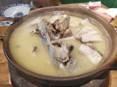 鲜鱼浓汤煲-十六蒲(桂林路店)