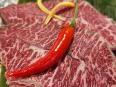 -道乐烧肉酒馆