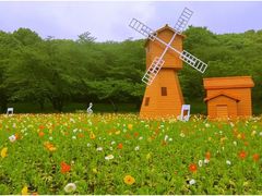 -苏州上方山国家森林公园