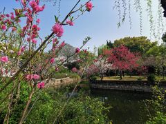 -无锡蠡湖国家湿地公园-蠡园