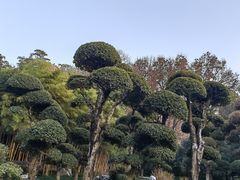 -南京东郊国宾馆