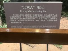 -北京周口店北京人遗址博物馆