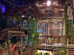 -Rainforest