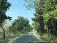 -巢湖名吃·徽府农家菜(半汤店)