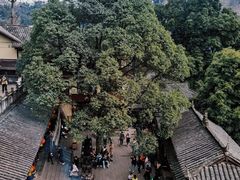 -青城山