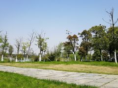 -瑶湖郊野森林公园