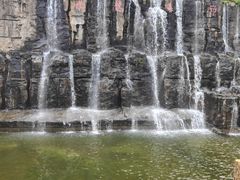-海南热带野生动植物园