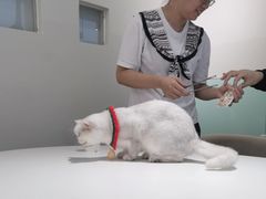 -怪兽屋·羊驼·猫咖·狗咖(俊华广场店)