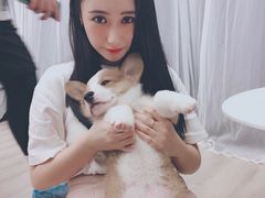 糯米-浣熊柯尔鸭土拨鼠·电玩咖