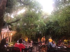 -Fern Forest Cafe