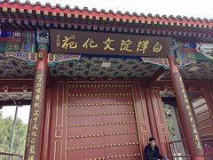 -白洋淀景区