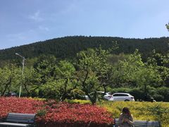 -云龙山