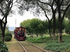 -永定河休闲森林公园