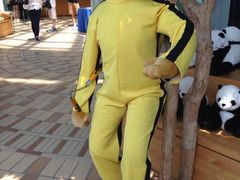 iphone_upload_pic-济州岛泰迪熊博物馆