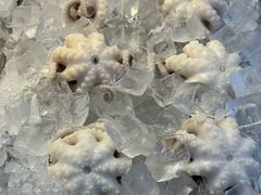 -铭聚章鱼土笋冻(松柏店)