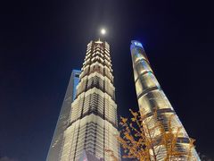 -圆苑(金茂店)