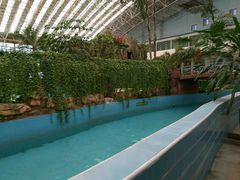 -龙脉温泉室内游泳馆