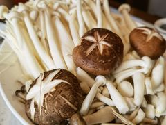 -九府羊·鲜羊火锅·烤串(新华路店)