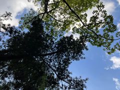 -广州兰圃