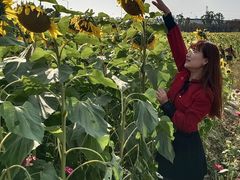 -映月湖中央公园