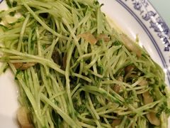 -杨记海鲜楼(三门黑金冠店)