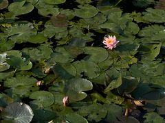 -花溪公园