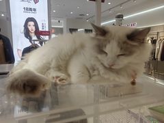 -丽达购物中心(崂山店)