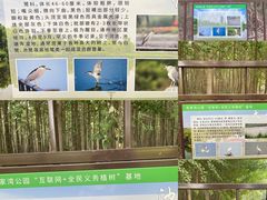 -张家湾公园