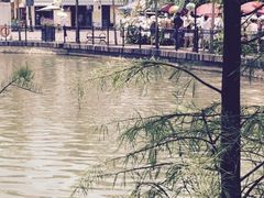 -东部华侨城
