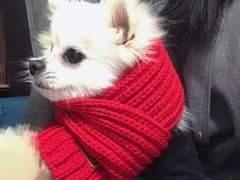 -联合动物医院(光谷诊疗中心)