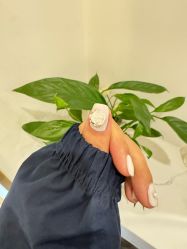 -一个美甲店