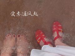 -济南国际园博园