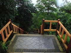 -阳台山森林公园