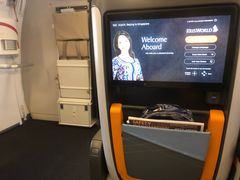 -新加坡航空公司(ION)