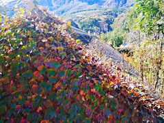 -鬼笑石后山停车场