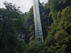 -碧峰峡风景区